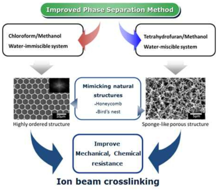 Scheme representing fabrication of robust membrane by combining method of IPS and E-Beam crosslinking