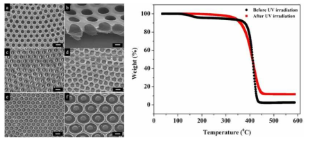 (Left) FESEM images of the crosslinked honeycomb films: (a) top-view image after 6 h of UV irradiation; (b) cross-sectional image after 6 h of UV irradiation; (c, d) honeycomb film surface after 6 h of UV irradiation followed by soaking in chloroform and acetone, respectively; and (e, f) honeycomb film surface after 6 h of UV irradiation followed by heating to 250 C: (e) top-view and (f) tilted 30. The scale bars in (a, c, d, e) are 3 mm and (b, f) are 1 mm. (Right) TGA plot of the PS honeycomb films before (black) and after (red) the 6 h UV irradiation