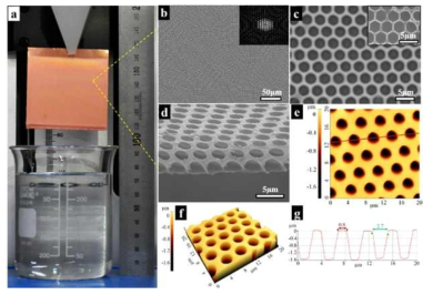 Photograph (a) presents the large-scale fabrication of the honeycomb film. Here, (b-g) present the surface morphologies of the typically patterned films prepared with a solvent/non-solvent volume ratio of 85/15 under an ambient air environment (i.e. relative humidity of 55% and temperature of 23 °C): (b) a low magnification FESEM image with the FFT pattern in the inset, (c) a high magnification FESEM image, (d) a cross-sectional FESEM image, (e, f) 2D and 3D AFM images, respectively, and (g) a cross-sectional profile of (e). The inset of (c) is a FESEM image of the patterned pincushion film. The red line in (e) indicates the location of the cross-sectional profile.