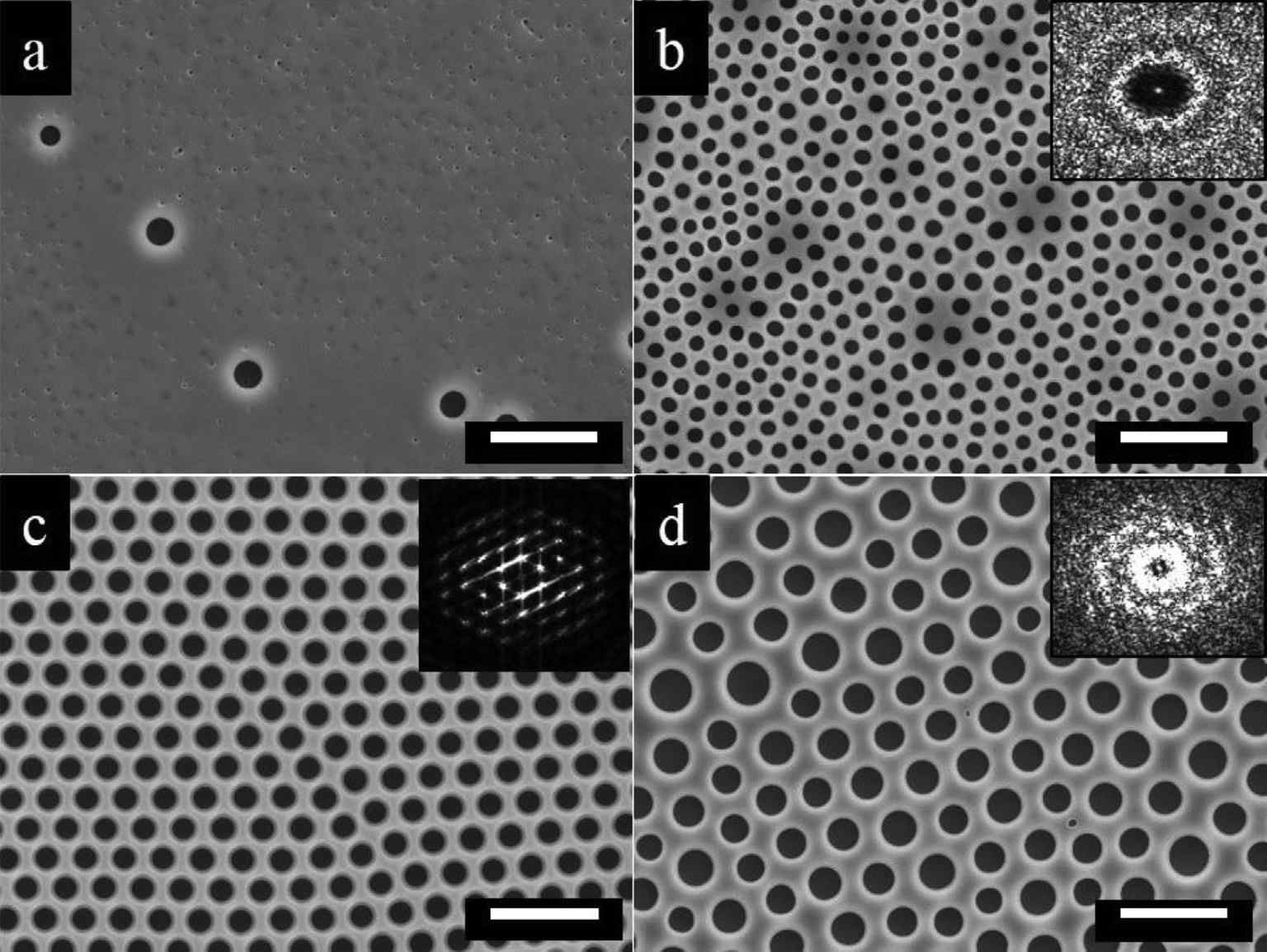 FESEM images of the patterned film surfaces prepared using solvent/non-solvent mixtures with different volume ratios of (a) 100/0, (b) 95/5, (c) 90/10, and (d) 85/15. The inset in each image is the corresponding FFT pattern. Others conditions were kept constant with the temperature of 20 C and the relative humidity (RH) level of 60%. The scale bars are 10 mm.