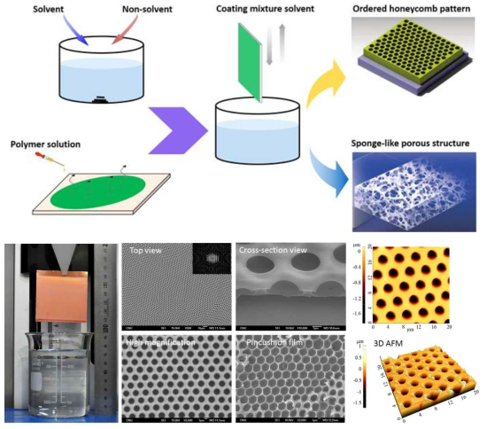 (Top) Preparation of porous structure; (Bottom-Left) Photograph representing fabrication of honeycomb patterned film; (Bottom-Middle) Surface and cross-sectional morphology of honeycomb pattered film; (Bottom-Right) 2D and 3D AFM images.