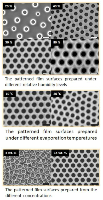 FESEM images of the dependence of the pore size and pattern on the relative humidity, temperature, and polymer concentration.