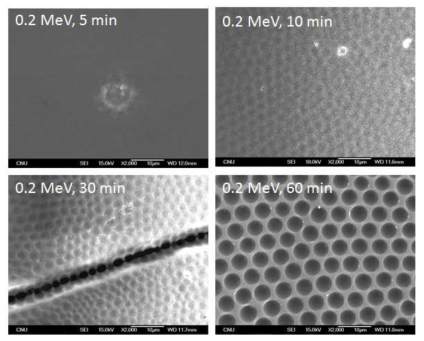 Solvent resistance examined by soaking honeycomb film in chloroform which is a good solvent for PS