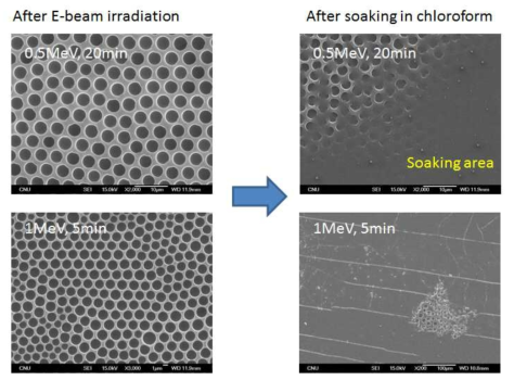 Effect of E-beam dose rate and irradiation time on the crosslinking degree of poly(styrene)