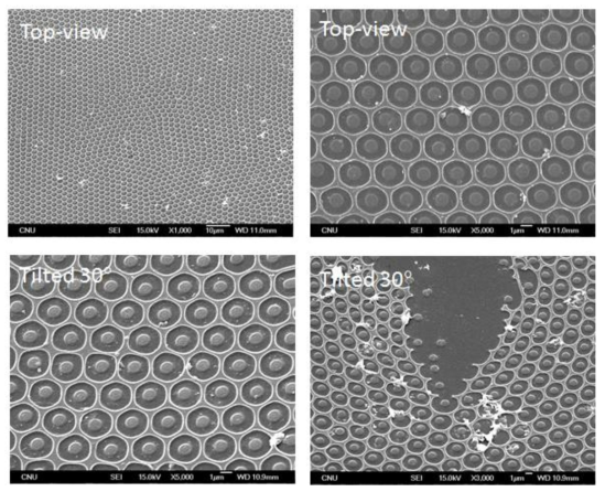 The thermal stability of the crosslinked films characterized via heating to 250℃ on a hot stage in air. The temperature was increased at a rate of 10 ℃/min and maintained at 250 ℃ for 2 h