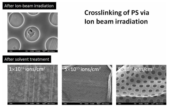 SEM image of surface morphology after Ion-Beam irradiation