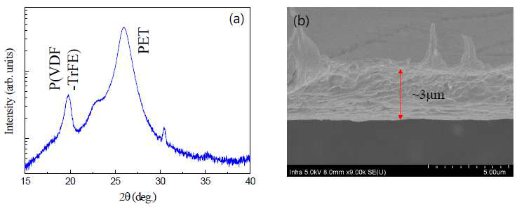 스핀 코팅과 열처리에 의해 합성된 P(VDF-TrFE) 박막의 X-선 회절 및 단면 SEM 분석 결과