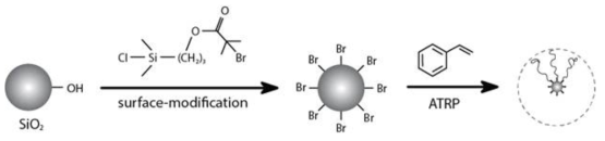 고분자 브러쉬를 가지는 나노입자의 합성을 위한 SI-ATRP 중합법의 개략도.