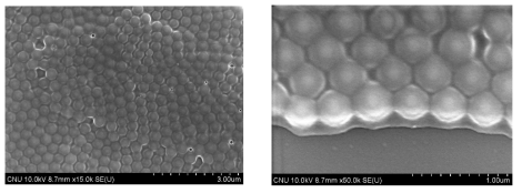 SI-ATRP 중합법에 의해 합성된 PS브러쉬를 가지는 SiO2 (D = 135nm) 나노입자 단층막의 주사전자현미경 이미지.