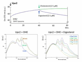 FRET-based ligand binding assay of Upc2;리간드의 결합시 형광스펙트럼의 변화를 보인다.