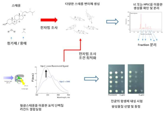 연구방법