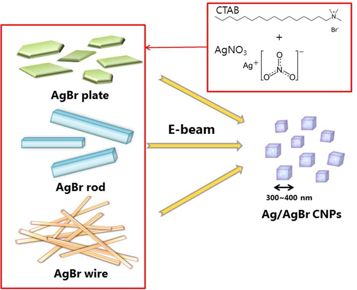 다양한 구조의 AgBr 마이크로구조체와 전자빔 조사량에 따른 Ag/AgBr 나노구조체로의 전환을 보여주는 모식도