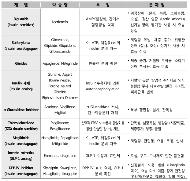 제 2형 당뇨병 치료제의 특징 및 문제점