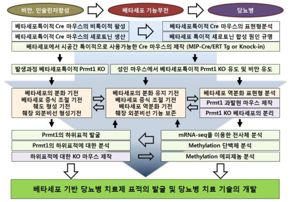 연구개발의 개요