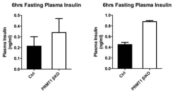 12주령 PRMT1βKO, βiKO 마우스에서의 6시간 공복 혈청 인슐린 농도