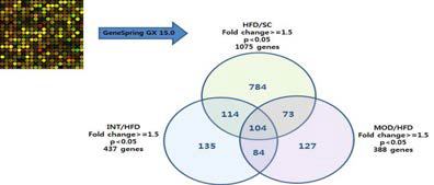 Effect of exercise training on global gene expression in HFD-induced fatty liver