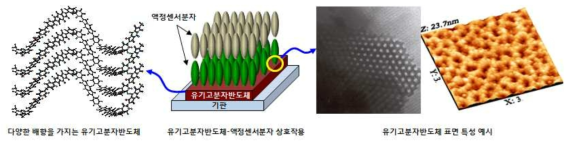 액정센서용 유기고분자/산화물(세라믹) 반도체 소재 및 계면제어 기술