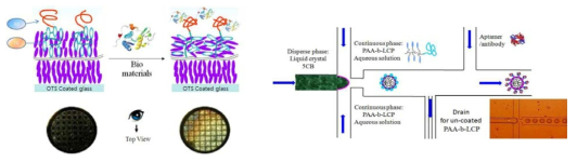 (왼쪽) 액정 블락 공중합체를 이용한 바이오센서 개념도. 바이오 물질과 Resposive Block (RB) 과 complex 에 의해서 Transducer Block (TB) 인 LCP 의 conformation 이 바뀌고 이로 인해 anchoring 한 액정 모너머 의 배향이 바뀜. 아래의 TEM grid 는 H 배향 및 P 배향의 편광현미경 사 진 (오른쪽) Microfluidics를 이용한 액정 droplet 제조 과정, (inset) 실제 본 실험실에서 시험한 microfluidics 채널 및 제조한 액정 droplet 사진.