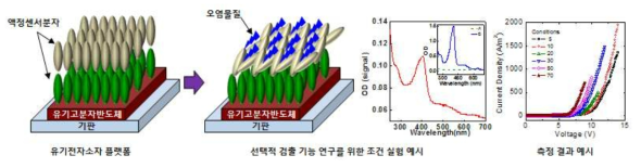 유기고분자/산화물 반도체-액정센서분자 기반 검출 구조 설계 및 측정 예시