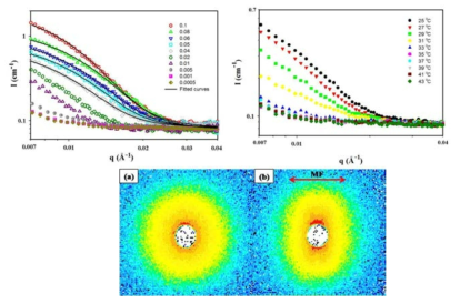 5CB에서 dPS-b-LCP 마이셀의 자기조립 현상을 SANS 방법을 이용하여 (위 왼쪽) 농도, (위 오른쪽) 온도변화 및 (아래) 자기장하에서 구조 분화 연구