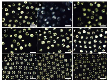 GOx 가 결합된 PAA-b-LCP 공중합체가 코팅 된 droplet 에 (a) 0.1, (b) 0.075, (c) 0.05, (d) 0.025, (e) 0.01, (f) 0.005, (g) 0.001, (h) 0.0005, (i) 0.0001 wt% glucose 를 첨가 후 30분경과