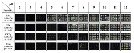 QP4VP-b-LCP 로 도포한 TEM grid 의 액정/물 계면에서 pH 에 따라 BSA, hemoblobin, chymotrypsinogen, lysozyme 을 검출