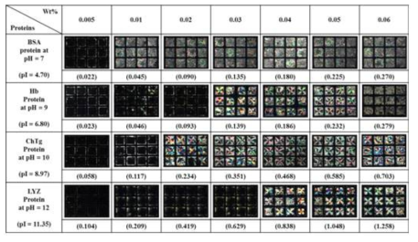 QP4VP-b-LCP 로 도포한 TEM grid 의 액정/물 계면에서 단 백질의 농도에 따라서 BSA, hemoblobin, chymotrypsinogen, lysozyme 의 검출