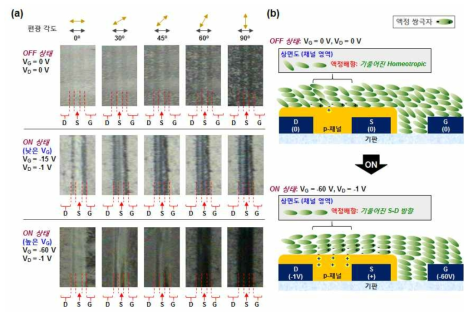(a) 액정 배향특성의 규명위한 LC-g-OFET 소자의 편광 측정, (b) LC-g-OFET의 구동 메커니즘.