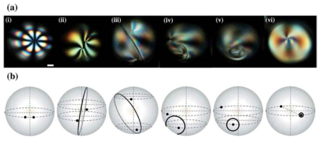 (a) Changes in the POM images of NLC DEDs with R ¼ 220 mmand thickness ¼ 10 mmover time, following the addition of a 1 wt% aqueous SDS/TWEEN 80 solution to a 1 wt% aqueous PVA solution of the outer fluid. (b) Schematic representation of the approximate positions of point defects with respect to the disclination line. The scale bar is 30 mm.