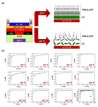 (a) 오염원의 농도 및 종류에 따른 검출을 하기위한 메커니즘 모식도 및 센싱 소자 구조 (센싱층: PAA-b-LCP:LC), (b) pH에 따른 센싱층 (PAA-LCP:LC)이 도입된 센싱 소자의 전기 신호 측정 결과.