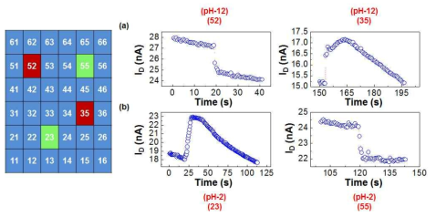 매트릭스 별 pH에 대한 전기신호의 감응 결과 (a) 산성, (b) 염기성.