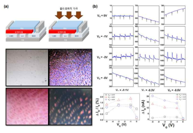 Planar Geometry를 가진 새로운 구조의 액정센서소 자인 “Liquid Crystal-gated-Organic Field- Effect Transistor (LC-g-OFET)”구조 및 선택적 검출 박막 제조 결과