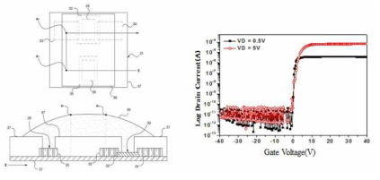 산화물기반 액정 TFT 소자의 모식도 및 transfer 특성