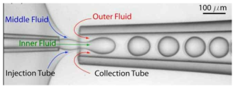 유리 모세관을 이용한 double emulsion 액정 droplet 제조 사진.
