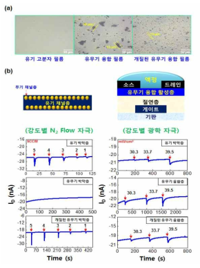 (a) 유무기 융합 필름의 광학 현미 경 사진, (b) 유무기 융합 필름으로 제작된 단위소자의 강도별 자극에 따른 검출결과.