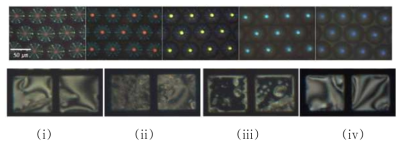 (a) Cholesteric liquid crystal Array with different chiral dopant contents, (b) polarized optical microscopy images of TEMDTAB/DNAs in 10 nM solutions of (i) complete, (ii) 3-bp, and (iii)2-bp mismatched ssDNAs, and (iv) dsDNA. TEMDTAB/DNAs, liquid-crystal-filled transmission electron microscopy grids coated with dodecyltrimethylammonium bromide (DTAB) and ssDNAprobe