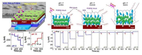 고분자에 분산된 액정 센싱층으로 이뤄진 광대역 pH 센싱-유기전 계효과트랜지터의 구조 및 pH 범위에 따른 실험 결과 및 메커니즘.