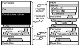 유기트랜지스터 기반 압력센서(왼 쪽) 및 온도센서(오른쪽) 모식도.