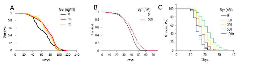 초파리/선충 모델계를 이용한 GB/Syr의 수명연장 효능