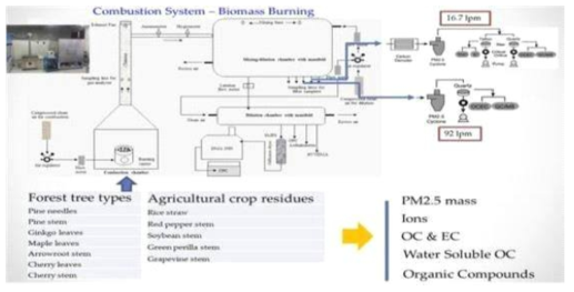 바이오매스 연소 시스템과 측정 화학적 성분 항목