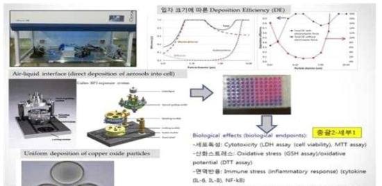 세포독성/동물흡독성 노출시스템 구축