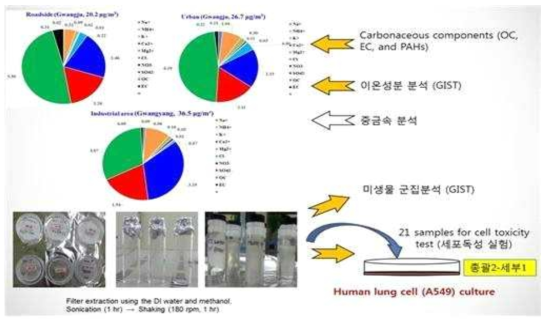 실제 대기 중의 초미세먼지 화학성분 분석결과 및 추출 후 연계연구