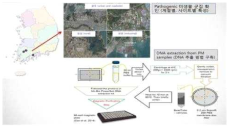초미세먼지내의 미생물군집 및 유해미생물 분석 방법