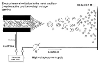 Electro spray Ionization method 개념