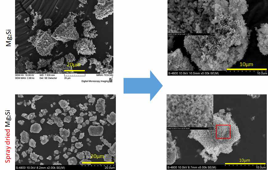합성된 Mg2Si와 멀티 기공을 가진 Si 물질의 SEM 이미지