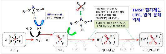 Expected function of TMSP as a reactive additive in a cell.