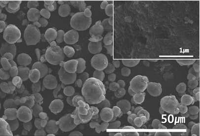 제조된 복합체의 SEM image