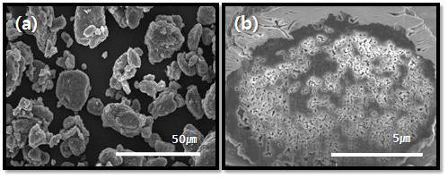 (a)다공성 Si/미세흑연/탄소 복합입자 및 (b) 복합입자 단면 SEM image