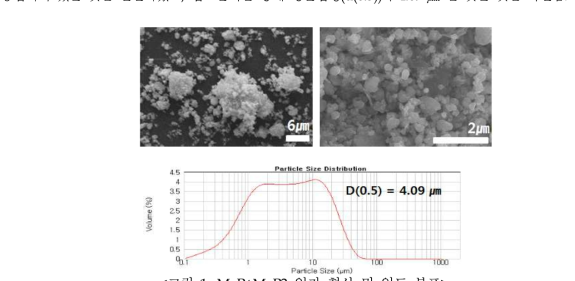 MoP+MoP2 입자 형상 및 입도 분포