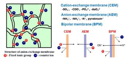레독스 플로우 전지에서의 멤브레인 종류별 역할 개념도